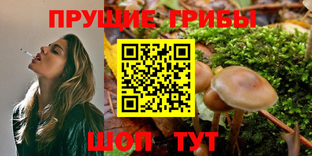 Псилоцибиновые грибы прущие грибы  Вход с VPN  Коммунар 